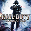 Call of Duty V:  