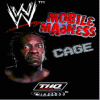 WWE Cage