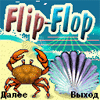 Flip-Flop